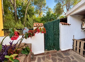 Fotografia del inmueble CASA INDEPENDIENTE PARTIDA TRAS LA VENTA - 2 CASAS - ALBALAT DELS TARONGERS