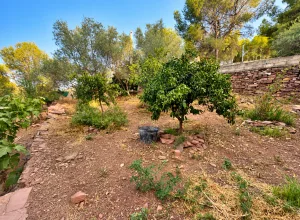 Fotografia del inmueble CASA INDEPENDIENTE PARTIDA TRAS LA VENTA - 2 CASAS - ALBALAT DELS TARONGERS